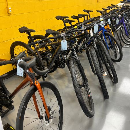 Alleycat bike shop new arrivals